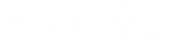 Paddle + Pin