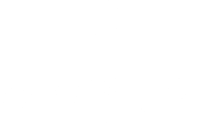 Paddle + Pin